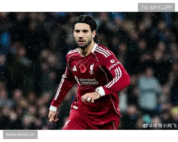 索博斯洛伊转会费 索博斯洛伊转会费