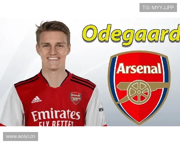 厄德高生涯个人表现与团队成绩解析